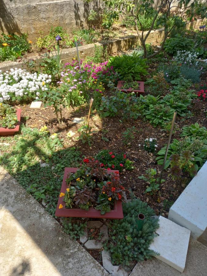 Apartments Sunag Šibenik Dış mekan fotoğraf